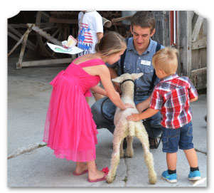 Horses 1920s Grime Homestead