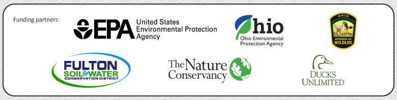 Wetlands-Partner-logos