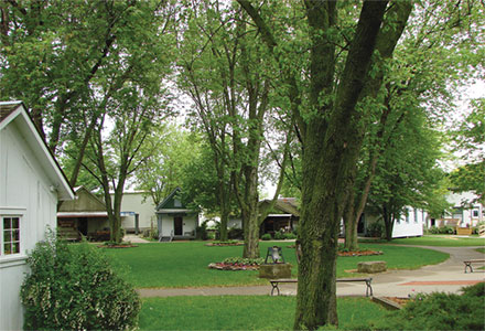 Cabins Village Green