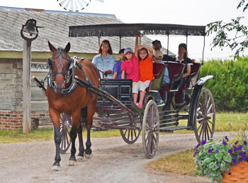Buggy-Ride-in-Village