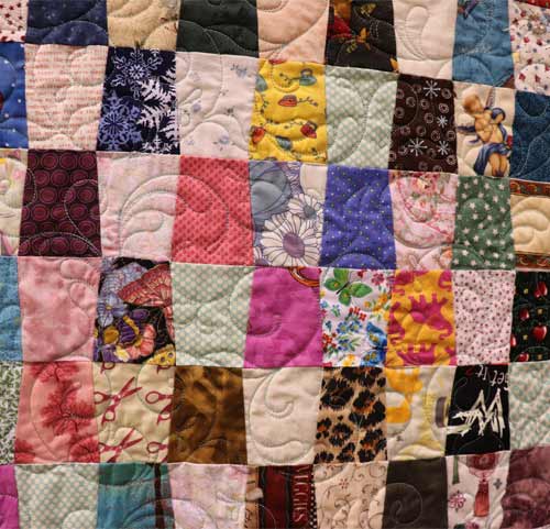 Judges-Choice-Lisa-Schreck-Closeup-Winner-2024