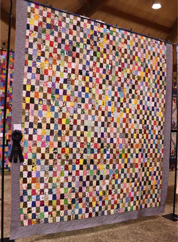 Judges-Choice-Winner-2024