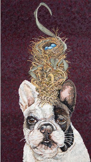 cleo-dog-birds-nest-McGrath