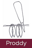 Proddy