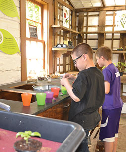 Activity at the Garden Shed