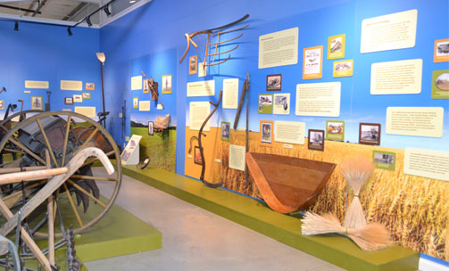 Grain Exhibit