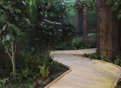 Great Black Swamp Exhibit - interactive feature