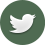 Twitter Icon