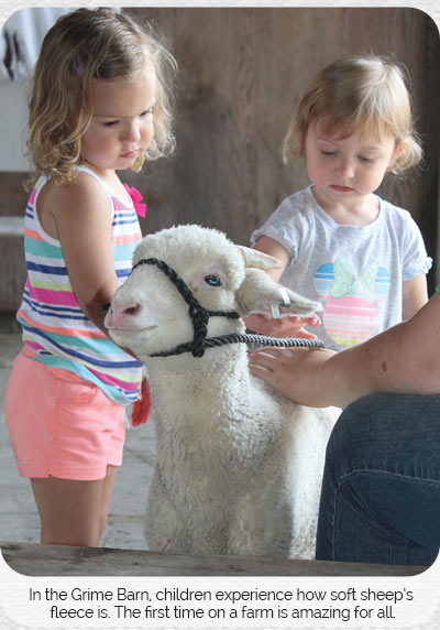 Young-kids-petting-sheep