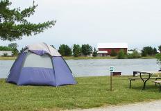 Purple-tent-at-lil-lake-Erie