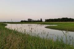 wetlands-1